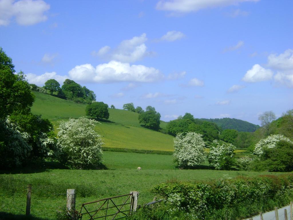 The Forest Country House B&B นิวทาวน์ ภายนอก รูปภาพ