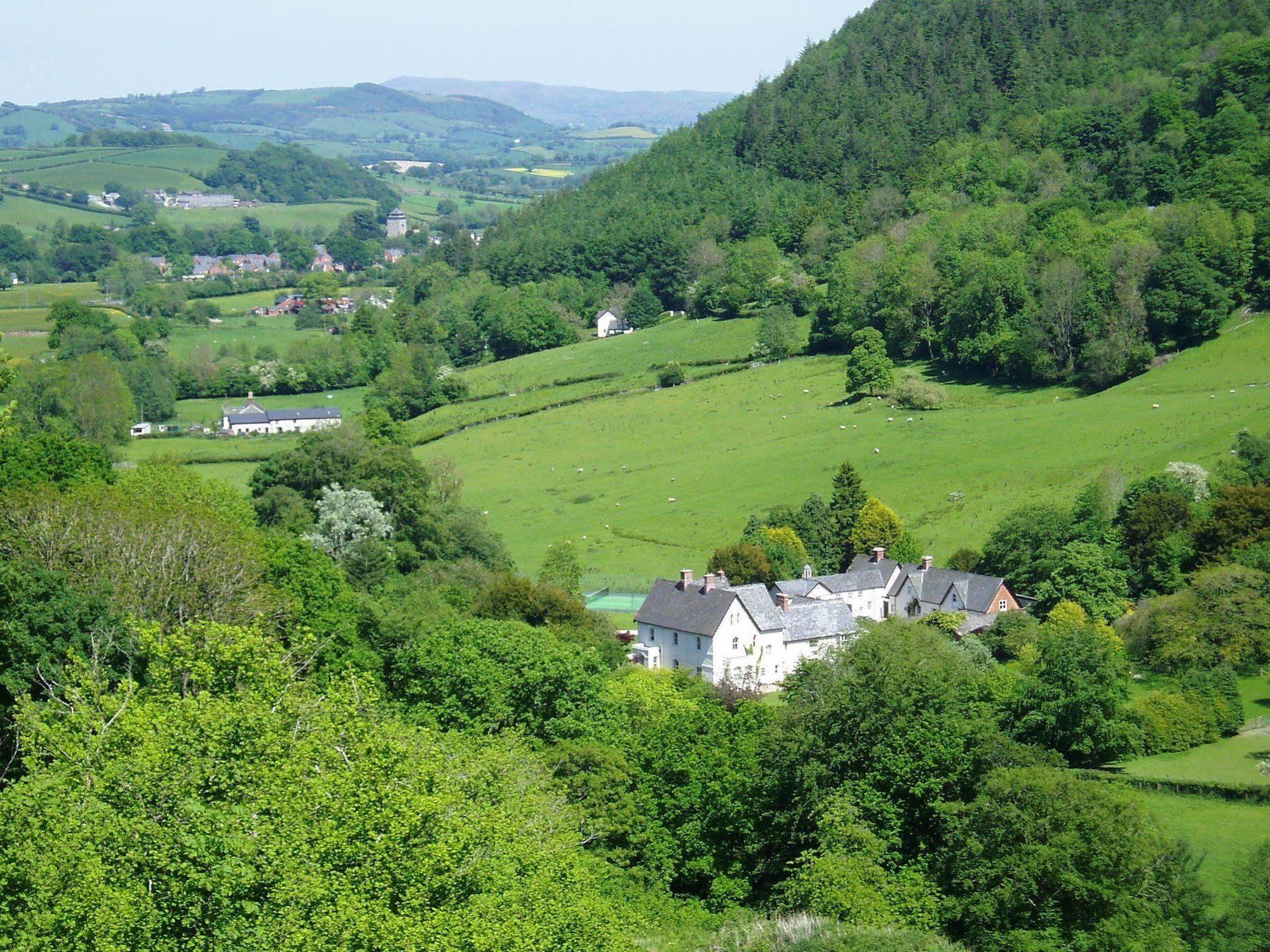 The Forest Country House B&B นิวทาวน์ ภายนอก รูปภาพ